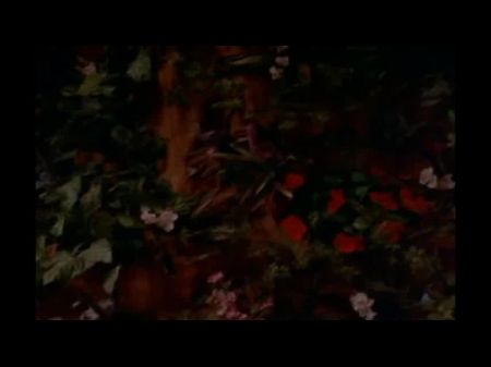 Natasha Henstridge外部限制（1995）