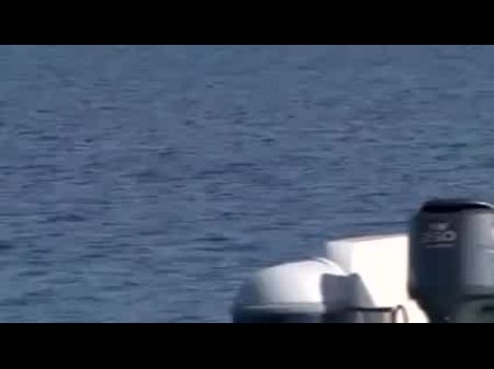 Boat Sandwich