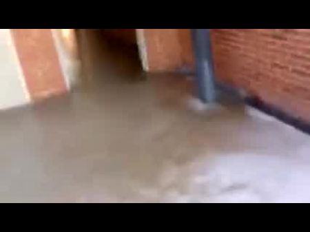 Wife Strapped To Tree And Torn Up By Stranger