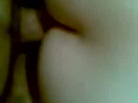 Persian Tramp Rectal