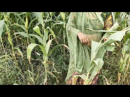 Desi Village Girl Makka Chori Kar Rhi Thi，Khet Ke Malik Ne Chudai Kar Diya Hindi音频户外Jaungalsex 