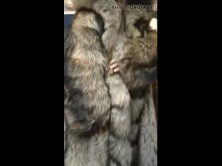 Giant Dame Posing In Fur Adorn