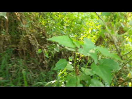 Forests Pulverize Is The Supreme