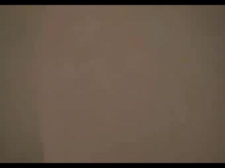 أسود في الحمار 