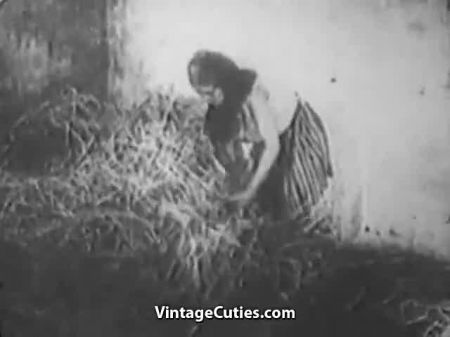 Impresionante Nena Masturbándose En El Granero (la Cosecha De La Década De 1930) 
