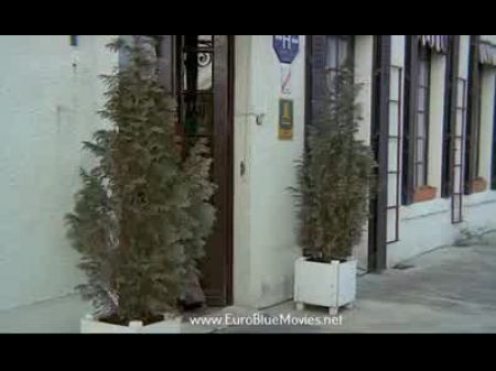 Le Retour De Marilyn (1984) Película Completa 