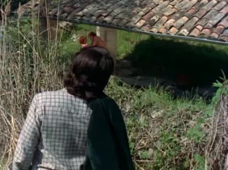 Vicieuse Amandine (1976) 
