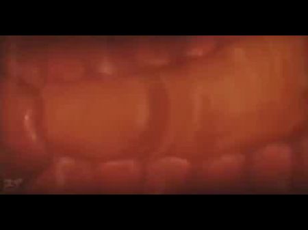 Hentai Mega Compilation mit Cumshot in der Vagina 