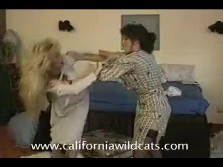 Retro Honies , Naked Catfight