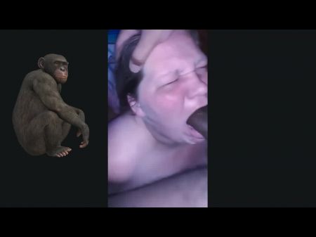 Taking Out The Rubbish