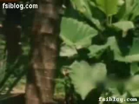 Roshini Lip Kiss And Breast Give Head Part 1