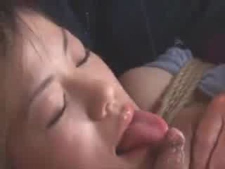 leche esa vaca japonesa 