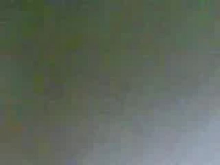 马来的女孩在猫里搞砸了，在肛门中短暂地业余