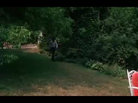 Parties Raides (1976)