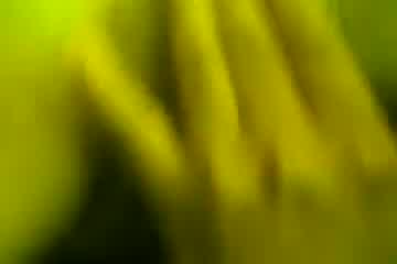 Türkiye bayrağı png