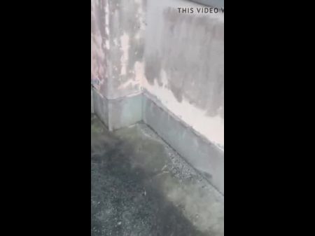 Dogging Japanese Cougar Pummeled By Stranger