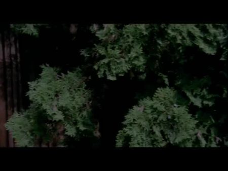 Vpg Vintage Choice 9