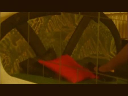 Der Nuttenschreck (full Movie)