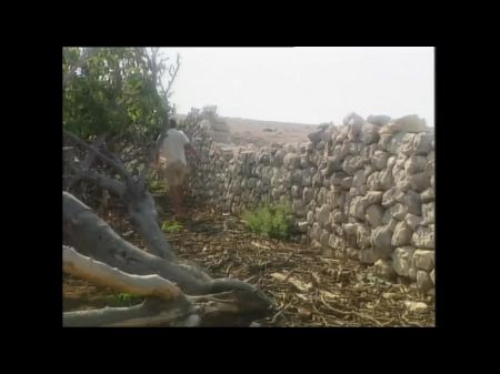 مغامرة ديك ضخمة 