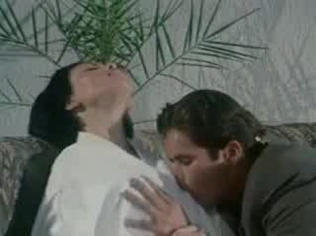 DRNCM الكلاسيكية الزوجين 1430 