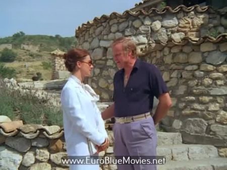 Der Lehrer unterrichtet ohne Kondoms (1981) 