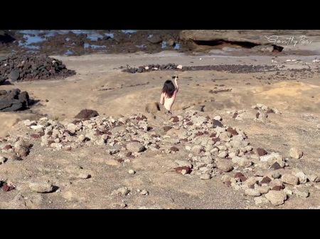 Nudist Beach mamá: le muestro mi polla dura a una perra que me pide una mamada y corre en su boca. 