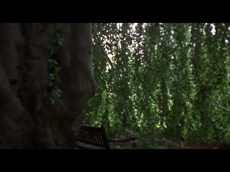 La Imagen El Castigo De Anne 1975 