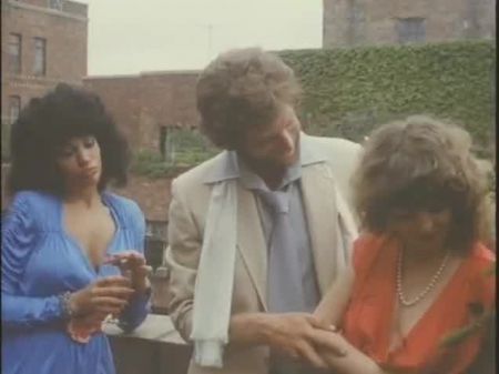 Nymph In Enjoy (1978 , Us , Vanessa Del Rio , Full Cinema , Dvd)