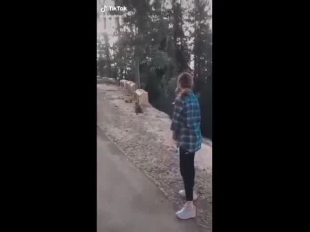 Pakistani Tiktok Star Scandel 