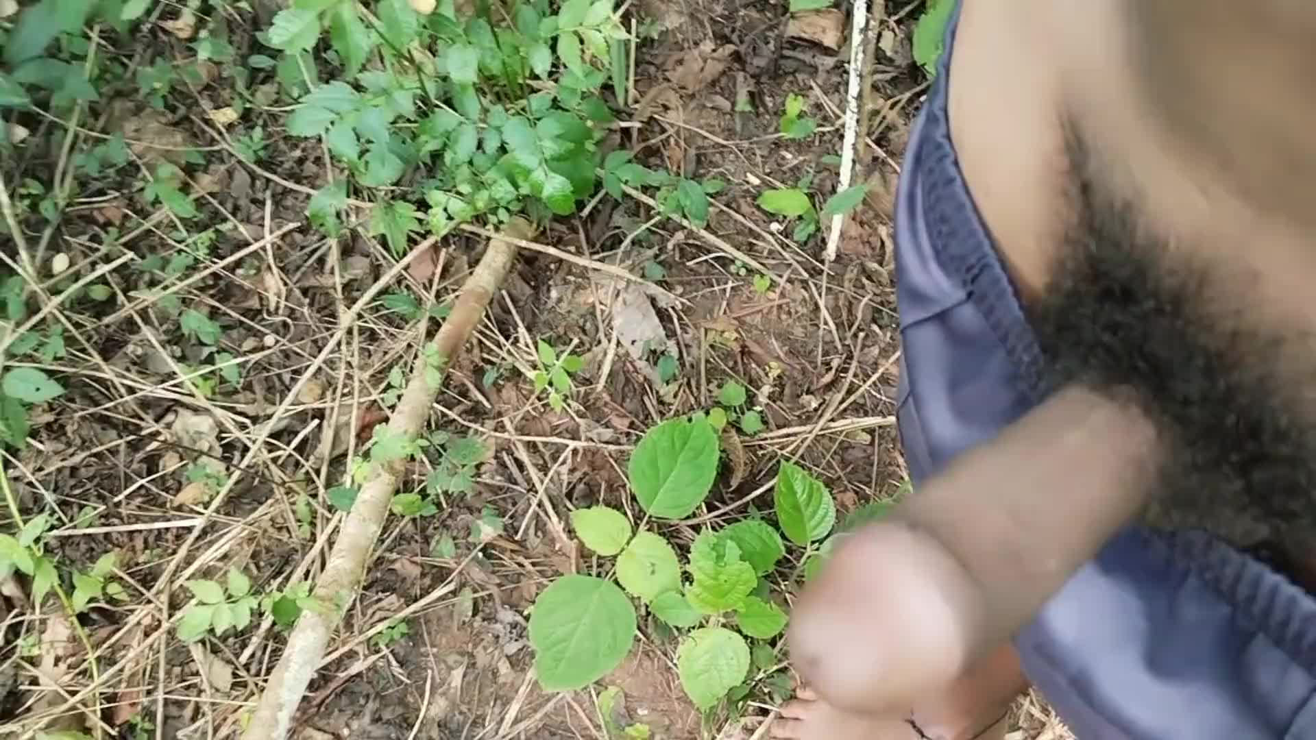 Telugu Shobanam Kutta - Sex Clip Rare