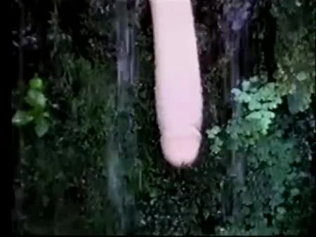 Perverted Stories Trio - Tropical Perversions