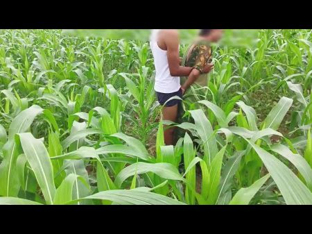 Bhabhi Ko Devar Ka Kala Mota Lund Aaya Lisand , Corn Field Me Bhabhi Ki Chudai Outdoor Hindi Audio