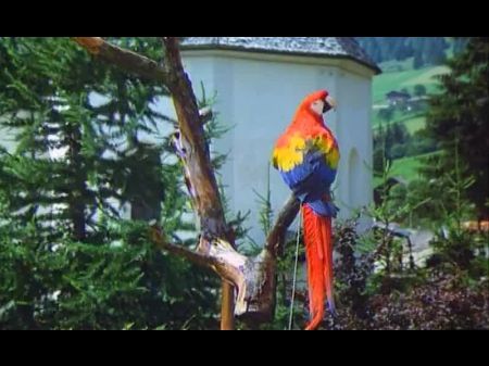 Drei Schwedinnen In Oberbayern (full Erotic Movie) 1977
