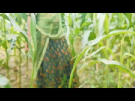 Desi Indian姐姐喜欢Jiju的黑色厚公鸡在玉米田里搞砸了