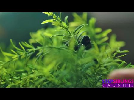 听我的继姐妹手淫S16：E7 