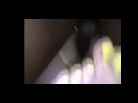 الكلبة البيضاء المستخدمة من قبل بي بي سي 