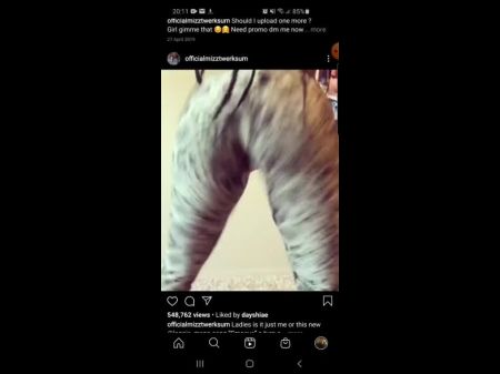 Mizztwerksum Instagram Twerk Compilation 