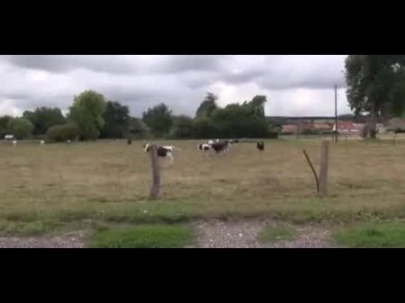 Milf Asiatique Baise Derriere La Voiture 