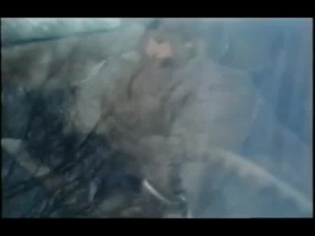 clásico Franz Alemán 