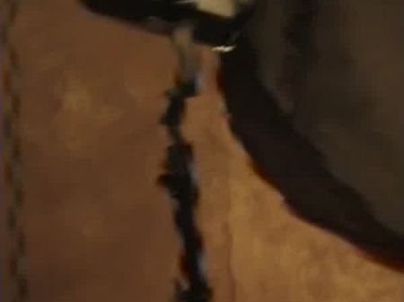 今天美丽的女孩迈克尔拉的第一次试镜