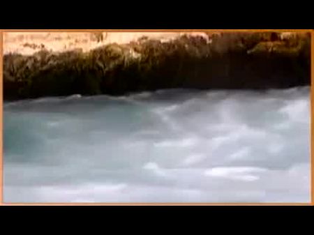 pornoluvers hot dora v汇编