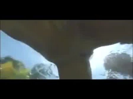 水下托尼·拉丁（Toni Latina）