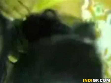 My Married Akka Giving Head And Cleaning My Phallus