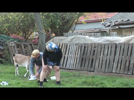 maduras 4 amantes lesbo abuelas follan con una correa en el consolador 