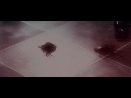 宝贝被舔阴，然后被假阳具和巨大的猛烈性交德语 