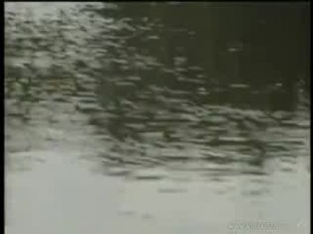 منطقة عدم السيليكون الخاصة بـ Titan، المشهد 5 