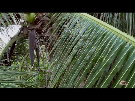 海滩上的危险性爱，英国广播公司（BBC）我和射得太快了 