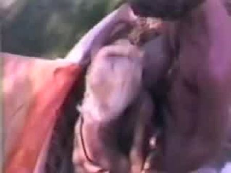 seka小姐日记中的seka 