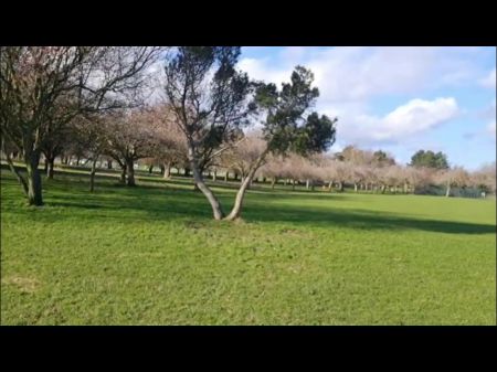 vlog de sexo a caminamos en un parque escocés 