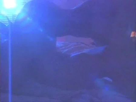 吸血鬼之夜